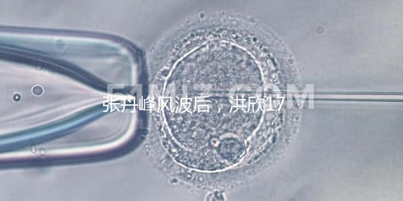 張丹峰風波后，洪欣17歲兒子表白媽媽一家人疑似和好如初