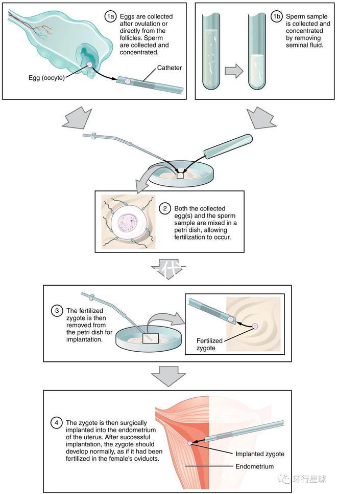 廣東10家三代試管醫院的熱度排名!