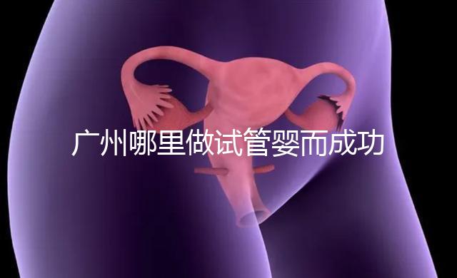 廣州哪里做試管嬰而成功率高？如何提高成功率？