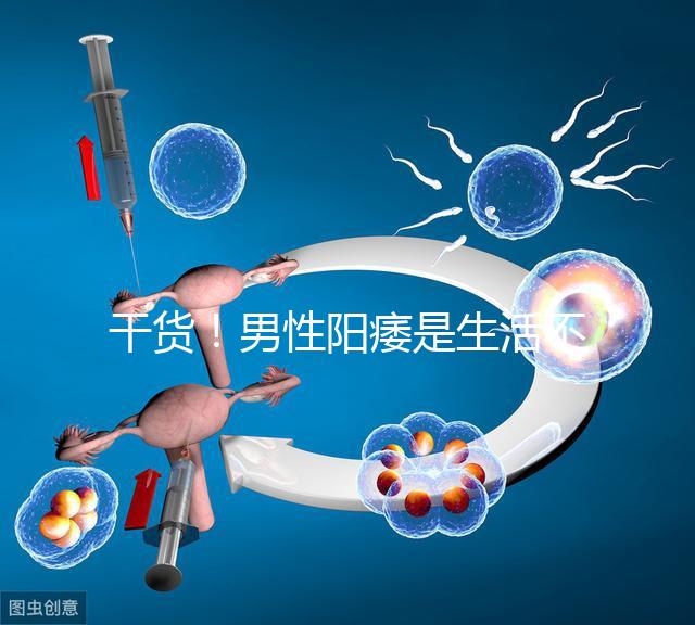 干貨！男性陽痿是生活不規(guī)律引起催乳激素偏高導(dǎo)致