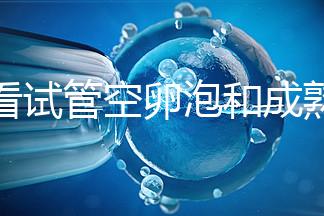 速看試管空卵泡和成熟卵泡能否區分開,這兩大技巧學起來