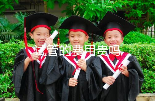 試管的費用貴嗎