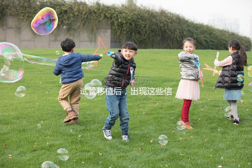 試管移植后,出現這些信號預示著成功懷孕啦!