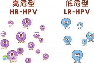 試管取卵后為什么打黃體酮?3大作用的目的都殊途同歸