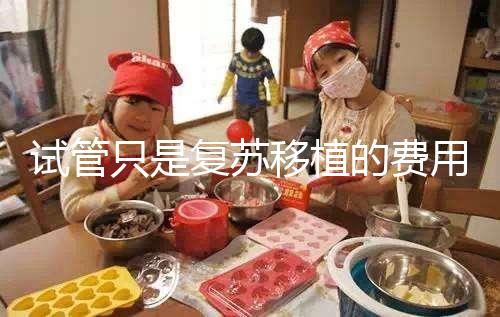 試管只是復蘇移植的費用并不高，看這就知道大概多少錢