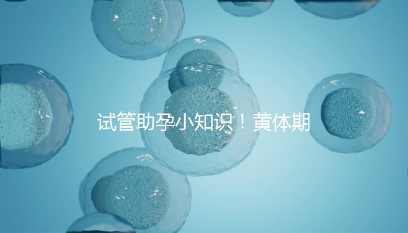 試管助孕小知識！黃體期促排卵這5大注意事項都看看