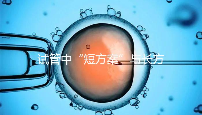 試管中“短方案”與長方案區別分析，時間并非唯一差異