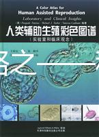 試管攻略之——移植后注意事項