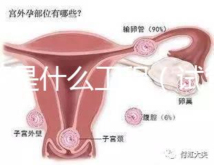 試管是什么工程(試管是什么工程類型)