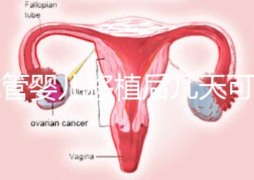試管嬰兒移植后幾天可以測懷孕?