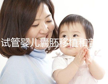 試管嬰兒囊胚移植和普通胚胎移植到底有什么不同？