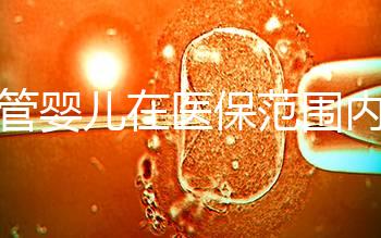 試管嬰兒在醫(yī)保范圍內(試管嬰兒在醫(yī)保范圍內能報銷嗎)