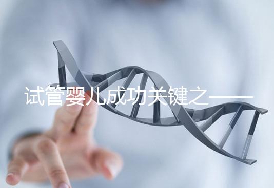 試管嬰兒成功關鍵之——子宮內膜環境15問15答