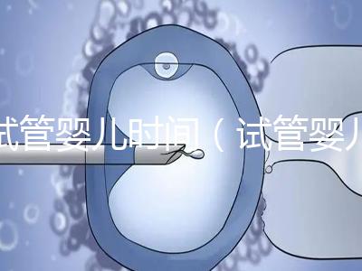 試管嬰兒時間(試管嬰兒時間需要多久)