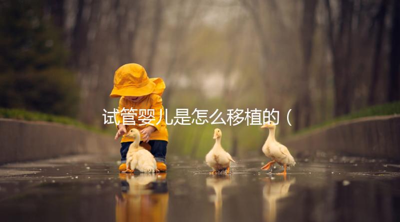 試管嬰兒是怎么移植的（試管嬰兒是怎么移植的？）