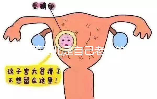 試管嬰兒是自己老公的精子嗎（試管嬰兒是不是老公的）