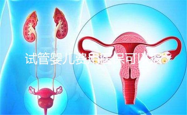 試管嬰兒費(fèi)用醫(yī)保可以報(bào)銷嗎