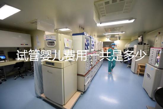 試管嬰兒費(fèi)用一共是多少(試管嬰兒費(fèi)用一共是多少錢)