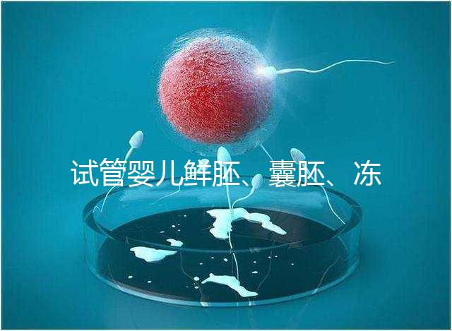 試管嬰兒鮮胚、囊胚、凍胚移植那個成功率最高?