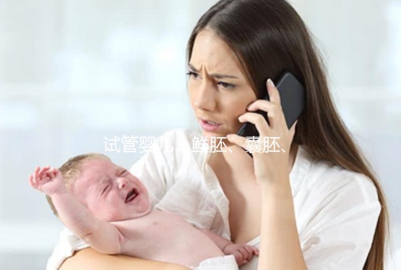 試管嬰兒|鮮胚、囊胚、凍胚如何選擇?移植前后注意事項(xiàng)
