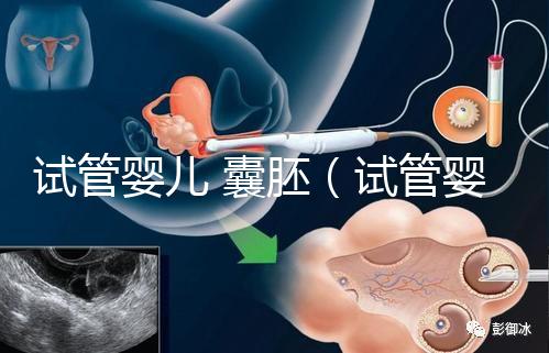 試管嬰兒 囊胚(試管嬰兒囊胚質(zhì)量等級)