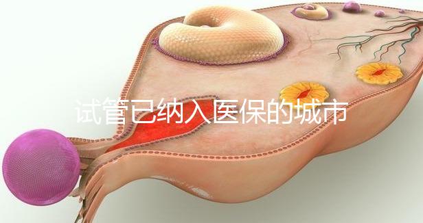 試管已納入醫保的城市
