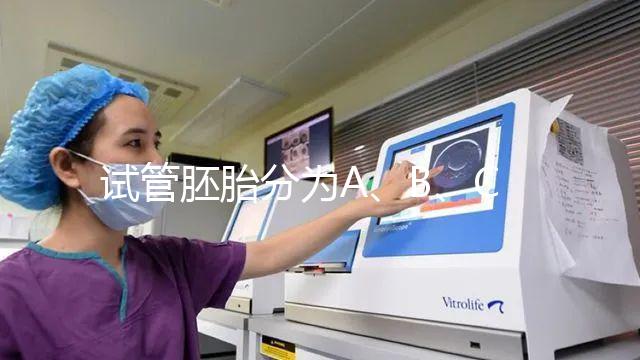試管胚胎分為A、B、C、D四級，那么每一級分別代表什么？