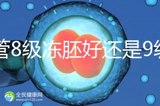 試管8級凍胚好還是9級好進來瞧，看完二者區別全明白