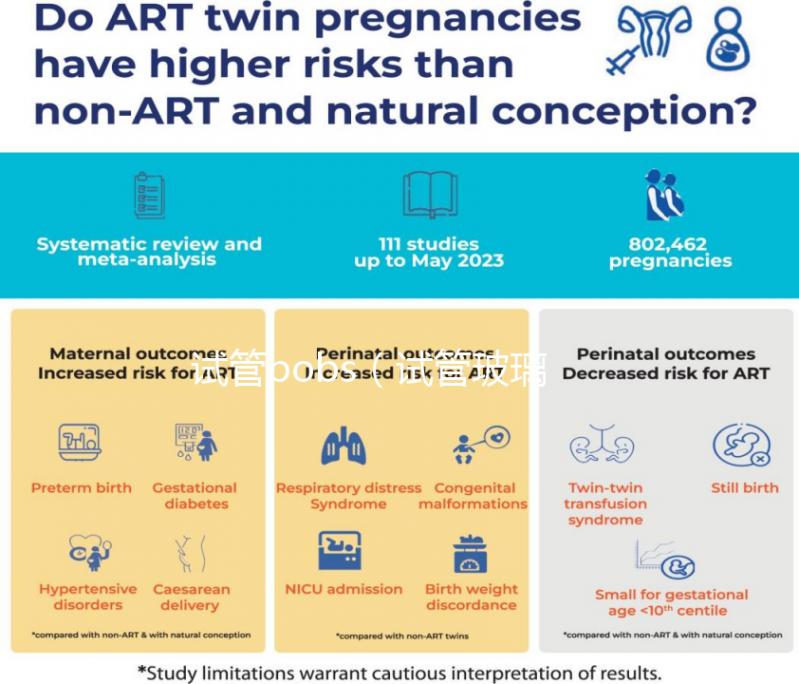 試管bobs（試管玻璃）