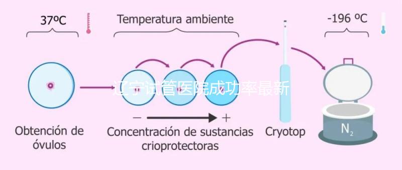遼寧試管醫(yī)院成功率最新前十排名流出,盛京醫(yī)院竟錯失榜首