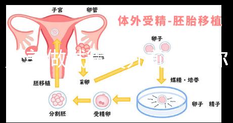 赴美做試管嬰兒前,教你如何攻破最難的“醫(yī)療簽證”!