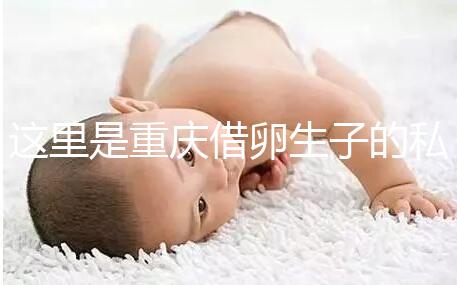 這里是重慶借卵生子的私立好醫院，附2024前三機構詳細介紹