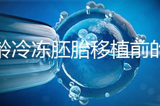 高齡冷凍胚胎移植前的注意事項和禁忌可以清楚地分類嗎？