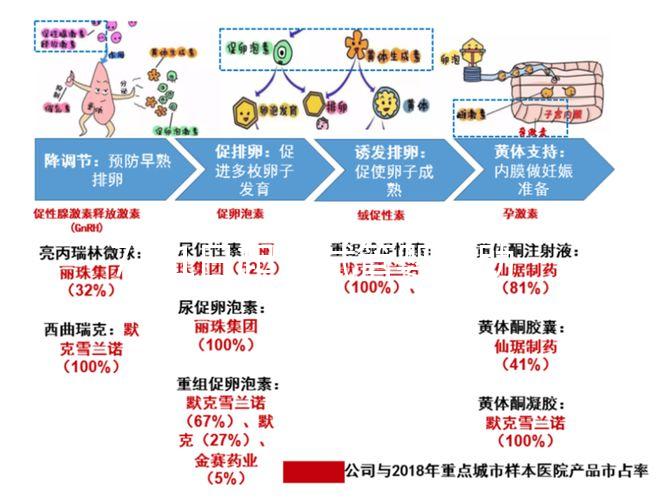 7月1日起，試管嬰兒助孕可醫(yī)保報(bào)銷啦！