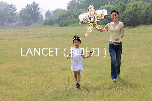 LANCET（柳葉刀）發(fā)表中國學(xué)者最新研究成果：“第二代試管嬰兒”技術(shù)并不能顯著提高子代活產(chǎn)率醫(yī)藥新聞