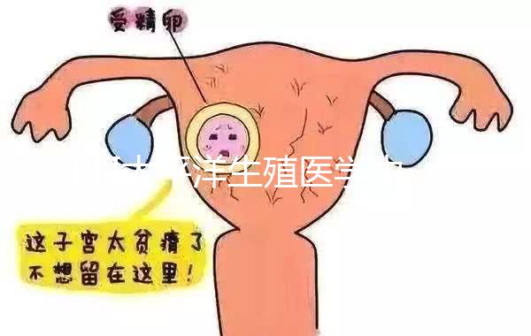 PFI太平洋生殖醫(yī)學(xué)中心：美國試管嬰兒流程、費用整理