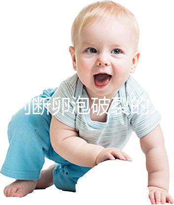 b超判斷卵泡破裂的方法都o(jì)ut了!彩超數(shù)據(jù)顯示更直觀