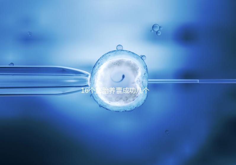 16個胚胎養(yǎng)囊成功幾個說不準，11個概率高不高真不一定