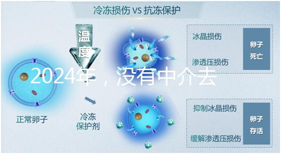 2024年,沒有中介去泰國做試管嬰兒?他們有必要這么說嗎?...