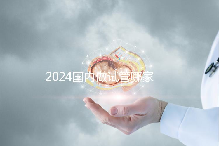 2024國內做試管哪家醫院成功率最高？附排行榜前十名醫院推薦