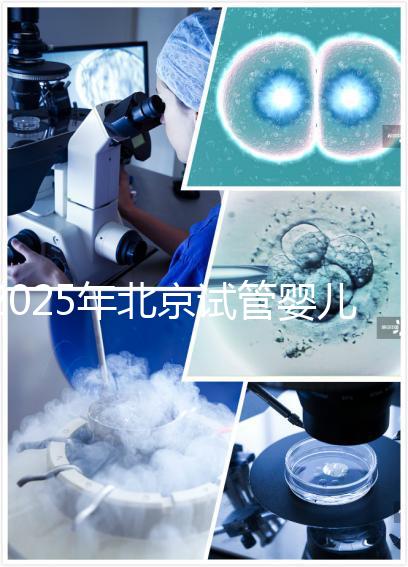 2025年北京試管嬰兒成功價(jià)格揭秘:大約在10萬到15萬元之間!