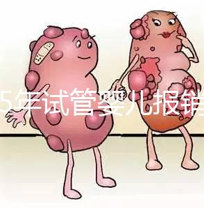 2025年試管嬰兒報銷多少（做試管可以報銷醫(yī)保嗎）