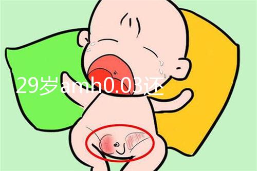 29歲amh0.03還能做試管嬰兒嗎？能否取到卵是懷孕關鍵